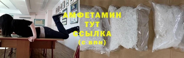 прущие грибы Медвежьегорск