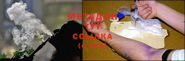 прущие грибы Медвежьегорск