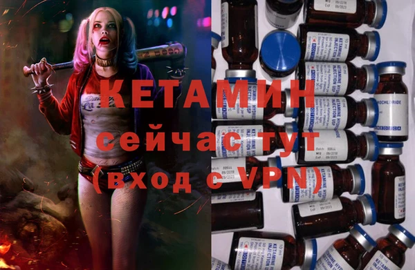 прущие грибы Медвежьегорск