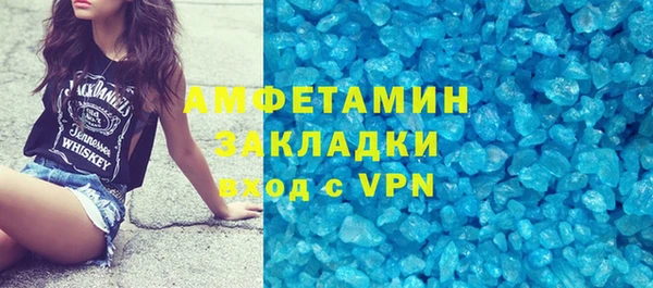 прущие грибы Медвежьегорск
