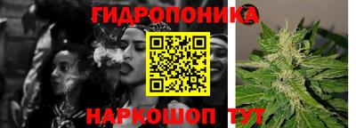 мяу мяу мука Беслан