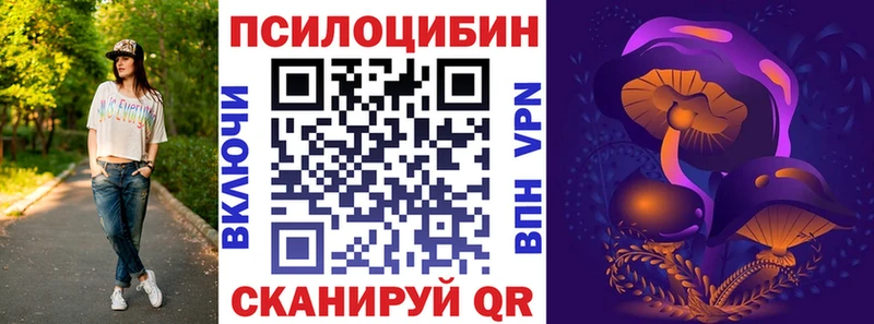 закладки  Ртищево  Псилоцибиновые грибы Cubensis 