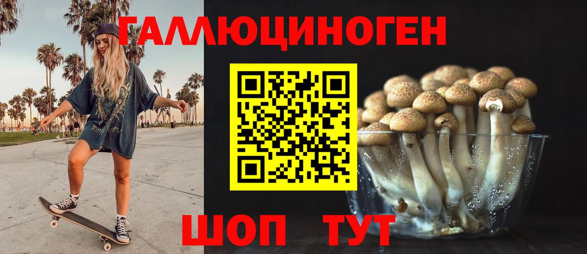купить   Галлюциногенные грибы мицелий  Вход с VPN  Ртищево 