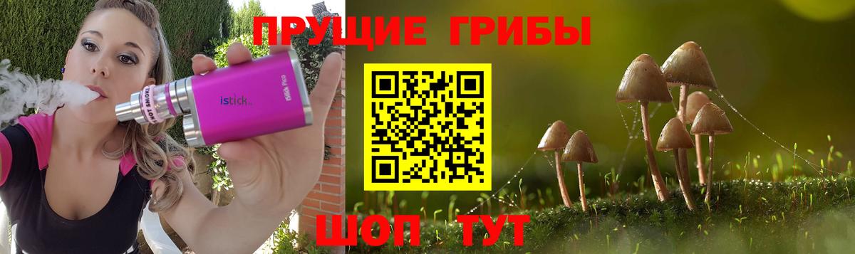 Галлюциногенные грибы GOLDEN TEACHER Ртищево