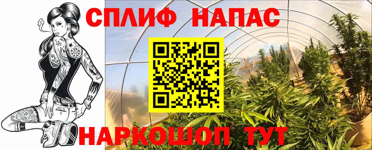 Канабис марихуана Ртищево